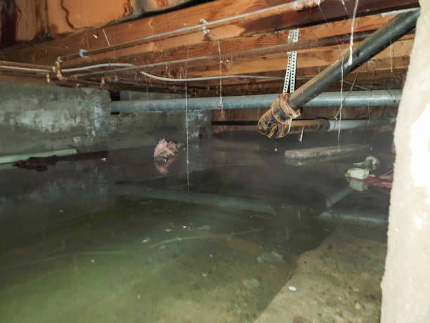 Best Flooded house restoration  in North Puyallup, WA