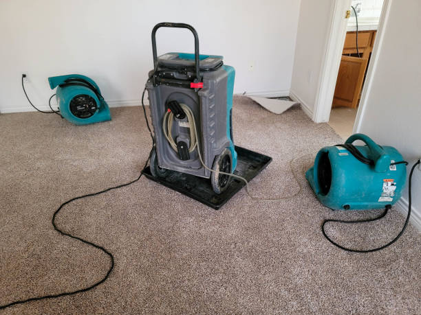 Best Water damage mitigation services  in North Puyallup, WA