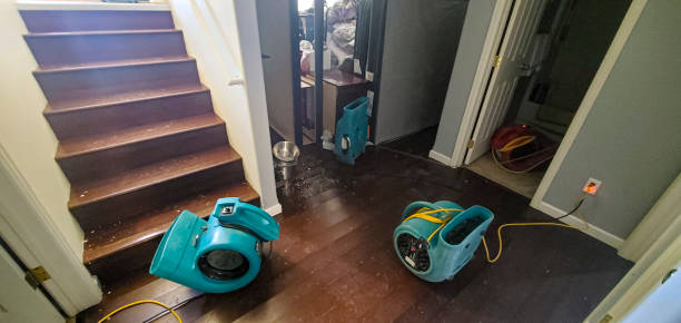 Best 24/7 water damage repair  in North Puyallup, WA