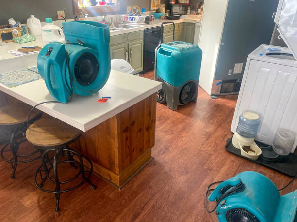 Best Flood damage cleanup  in North Puyallup, WA
