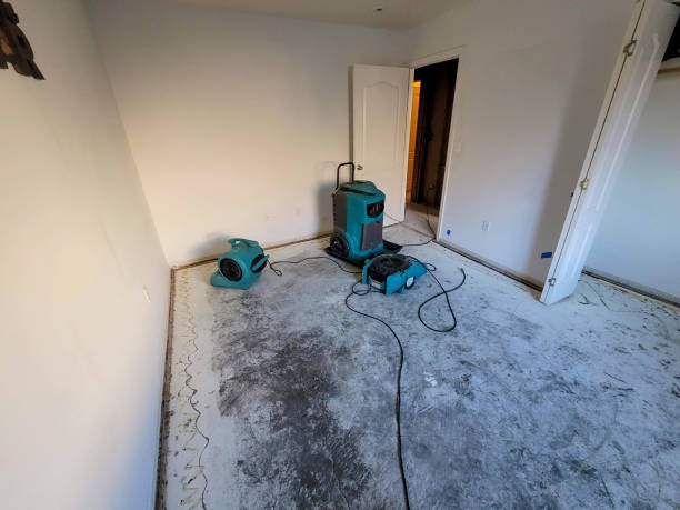 Best Commercial water damage restoration  in North Puyallup, WA