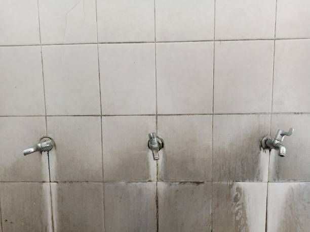 Best Fire Damage Restoration  in North Puyallup, WA