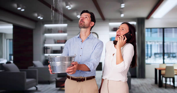 Best Water damage restoration near me  in North Puyallup, WA